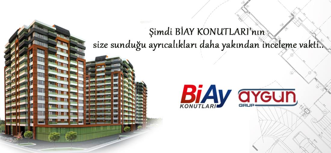 BiAy İnşaat